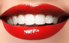 内衣办公室动未增删带翻译3